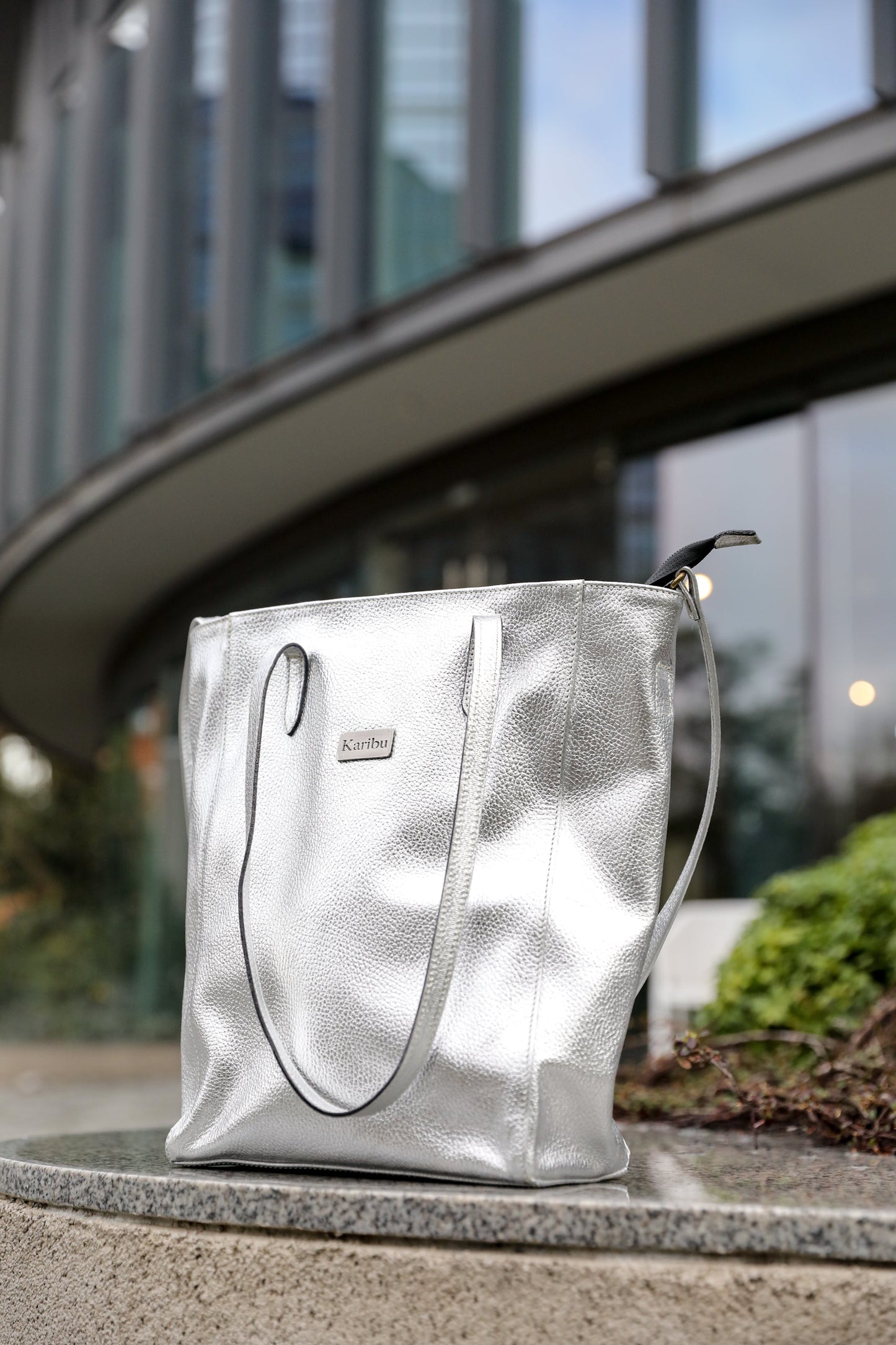 Jacinta silberne Geldbörse