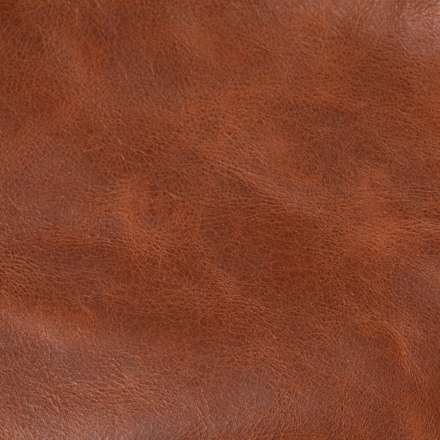 Jacinta Schwarze Geldbörse mit Kaffee