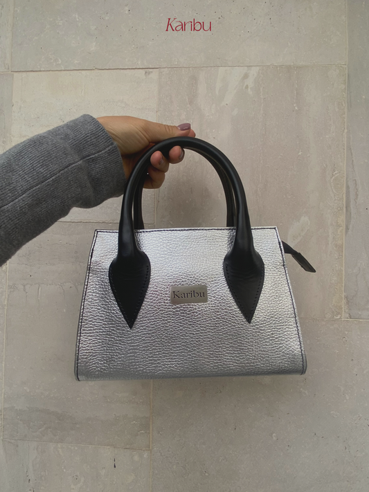 Javiera Silberne Geldbörse